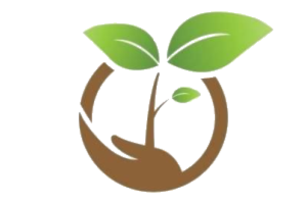 Phase 1 Sprout துளிர் icon